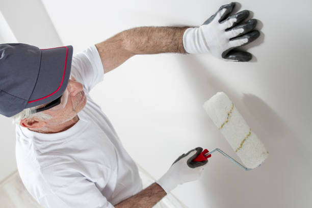 Trusted Wellsville, OH Mold Removal Experts