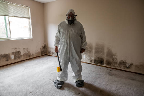 Best Residential Mold Inspection & Testing  in Wellsville, OH