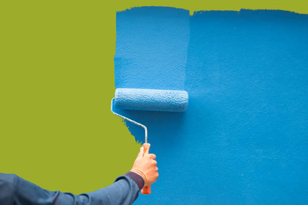 Mold Documentation for Insurance Claims in Wellsville, OH