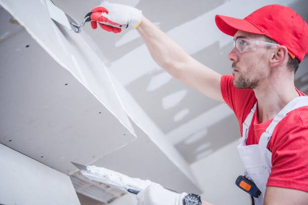Best Mold Documentation for Insurance Claims  in Wellsville, OH