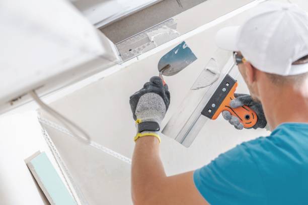 Best Black Mold Removal  in Wellsville, OH